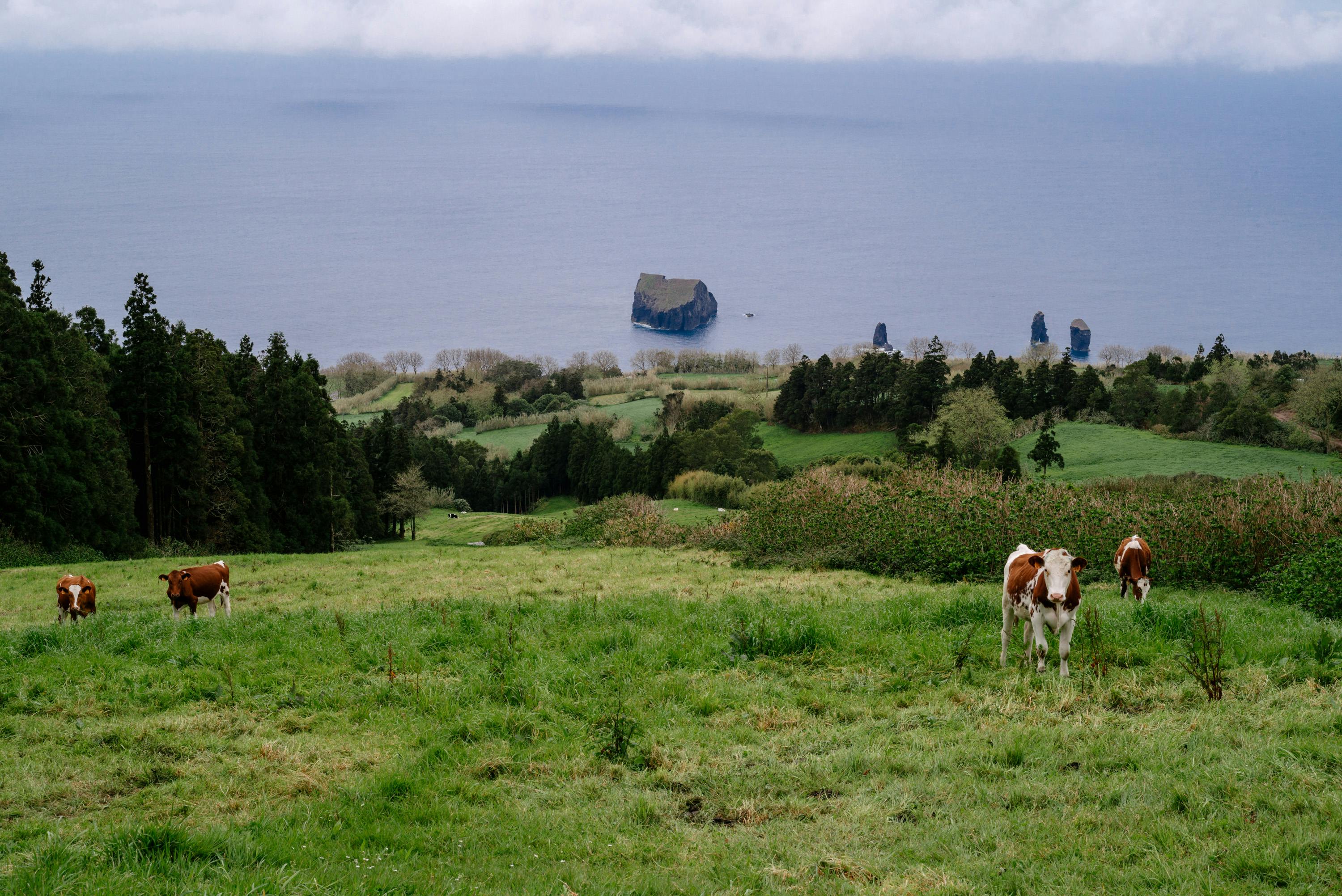Azores, Mid-Atlantic